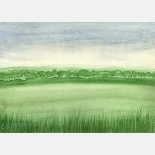 Roadside Vista