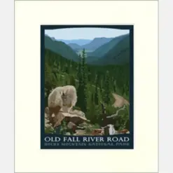 Rocky Mountain National Park Old Fall River Road Artwork By Julie Level