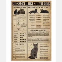 Russian Blue Cat Knowledge