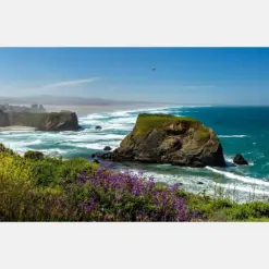 Sea Stacks And Surf - Reason Beach - The Northern California Coast - Wildflowers - Sea Lifts - Panoramic View - Coastal Fog - Sea Bird