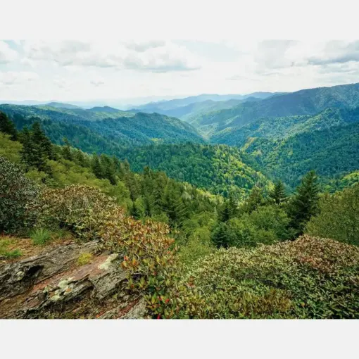 September At Bradley View Landscape Orientation