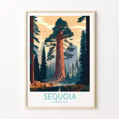 Sequoia California Travel Print Wall Art Sequoia National Park Travel Poster National Parks Traveler Gift National Park Print