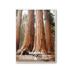 Sequoia National Park Poster | National Park Poster | National Park Print | Vintage Poster | Wall Art | Home Decor