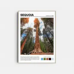 Sequoia National Park Print Sequoia Poster Sequoia Wall Art Sequoia Artwork Sequoia Art Print Sequoia Photography California Usa