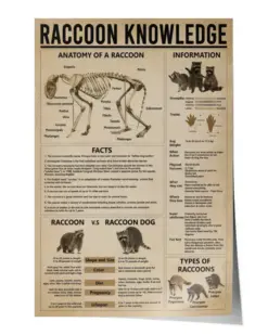 Raccoon Knowledge Poster, Anatomy Of A Raccoon Facts, Animals Poster