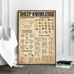 Sheep Knowledge Poster Sheeps Print Sheep Art Sheep Decor Sheep Wall Art Sheep Poster Sheep Wall Hanging Sheep Anatomy