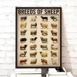 Sheep Knowledge Vintage Print Breeds Of Sheep Type Of Sheep Poster Vintage Sheep Farm Art Farmhouse Wall Decorations Farmhouse Art Print