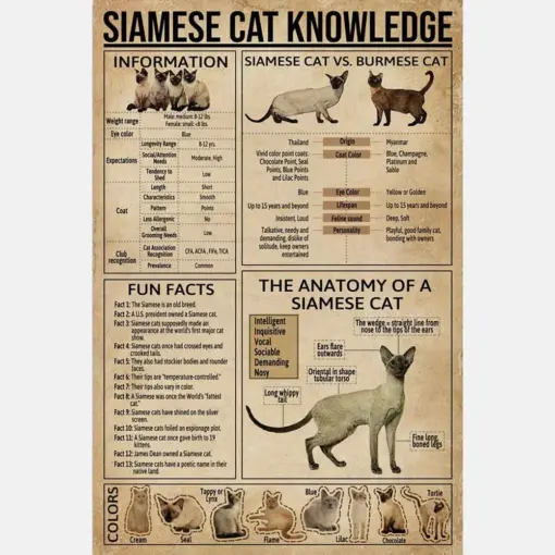 Siamese Cat Knowledge Poster Cat Vintage Poster