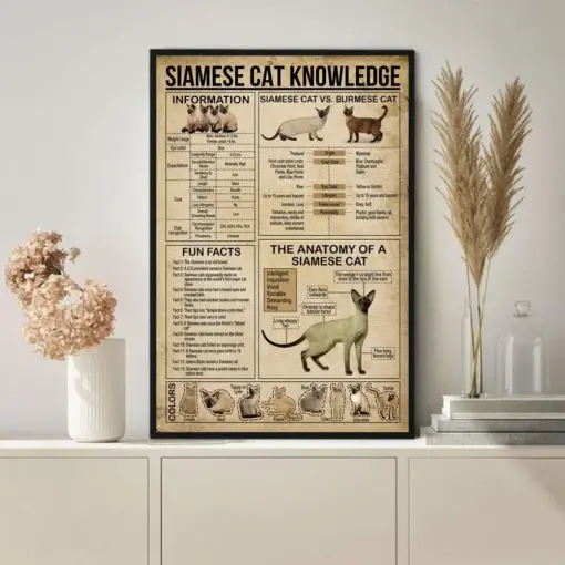 Siamese Cat Knowledge Poster Vintage Poster Decor Wall Knowledge Lovers