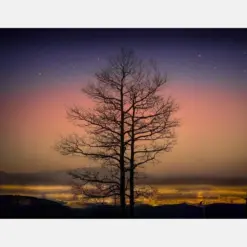 Sunrise Over Santa Few Canvas Wall Art New Mexico Wall Art Fine Art Tree Stars