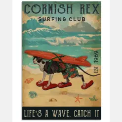 Surfing Club Cornish Rex