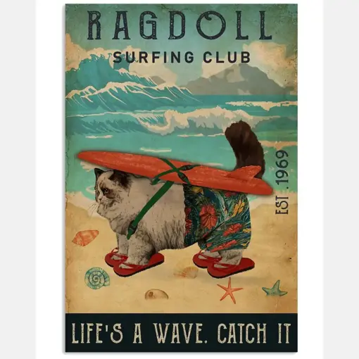 Surfing Club Ragdoll