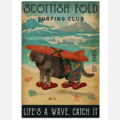 Surfing Club Scottish Fold