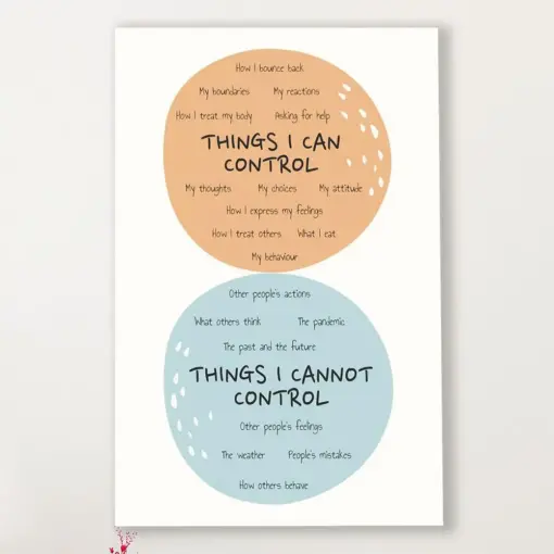 Teacher Classroom Canvas Things I Can Control & Cannot Control | Student Wall Art Back To School Gift For Teacher