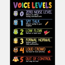 Teacher Voice Levels