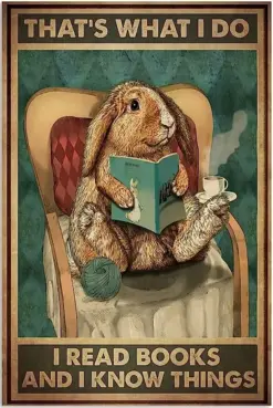 That’s What I Do I Read Books And I Know Things Funny Rabit Reading Book Poster, Canvas