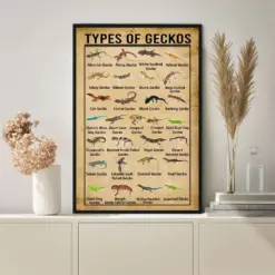 The Type Of Geckos Poster Knowledge Poster Vintage Poster Wall Art Home Decor