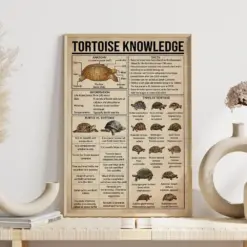 Tortoise Knowledge Poster Types Of Tortoise Vintage Poster Tortoise Wall Decor Tortoise Of The World Poster Turtle Is Tortoise Print