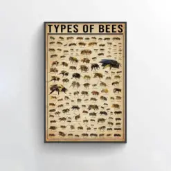 Type Of Bees Knowledge Poster Vintage Poster Retro Poster Bee Wall Art Bee Decor Bee Art Bee Poster Bee Home Decor Bee Lover Gift