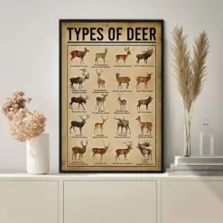 Type Of Deer Poster Knowledge Poster Vintage Poster Wall Art Home Decor
