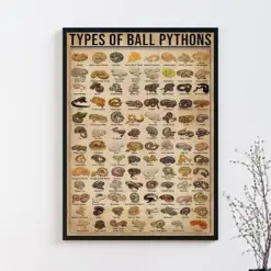 Types Of Ball Pythons Poster Ball Python Lover Gift Ball Python Art Print Vintage Knowledge Poster Knowledge Art Education Wall Deco