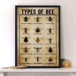 Types Of Bees Knowledge Bee Poster Knowledge Poster Honey Bee Wall Hanging Honey Bee Art Print Bee Art Bee Lover Instant Download