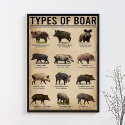 Types Of Boar Poster Boar Lover Gift Boar Poster Boar Art Print Vintage Knowledge Poster Knowledge Art Home Decoy Education Wall Deco
