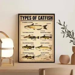 Types Of Catfish Art Print Catfish Vintage Poster Catfish Art Print Knowledge Poster Knowledge Art Home Wall Wall Decor