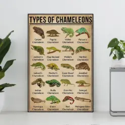 Types Of Chameleons Vintage Poster Chameleon Lover Gift Chameleon Print Knowledge Poster Knowledge Art Home Decor Education Wall Decor