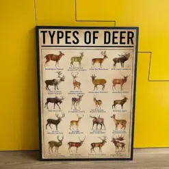 Types Of Deer Poster Deer Collection Vintage Poster Deer Knowledge Vintage Wall Art Print Deer Lovers Deer Poster Wall Decor