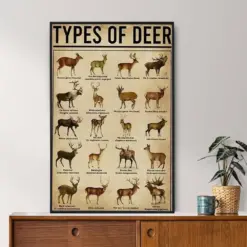 Types Of Deer Poster Deer Lover Gift All About Deer Vintage Knowledge Poster Deer Knowledge Art Home Wall Art Education Wall Decor