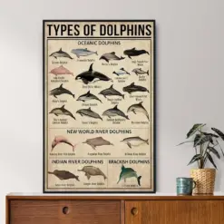 Types Of Dolphins Vintage Poster Dolphin Lover Gift Dolphin Poster Knowledge Poster Knowledge Art Home Wall Art Education Wall Decor