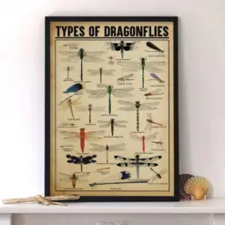 Types Of Dragonflies Poster Dragonfly Lover Gift Dragonfly Poster Vintage Knowledge Poster Knowledge Art Home Art Instant Download