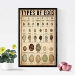 Types Of Egg Poster Vintage Egg Wall Art Egg Knowledge Wall Decor Kitchen Wall Hanging Kitchen Eggs Wall Decor Kitchen Decoration