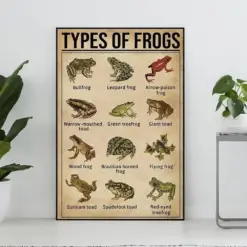 Types Of Frogs Poster Frog Lover Gift Frog Print Frog Art Print Vintage Knowledge Poster Knowledge Art Education Wall Decoy Home Deco
