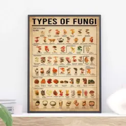 Types Of Fungi Knowledge Poster Fungi Poster Mushroom Decor Fungi Art Print Fungi Wall Decor Mushroom Wall Hanging Kitchen Decor