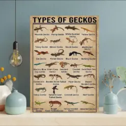 Types Of Geckos Knowledge Poster Vintage Geckos Knowledge Poster Gecko Lover Gift Gecko Art Vintage Knowledge Poster Knowledge Art