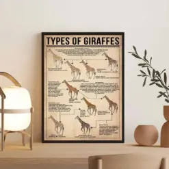 Types Of Giraffes Poster Giraffe Lover Gift All About Giraffe Knowledge Vintage Poster Home Decor Education Wall Poster