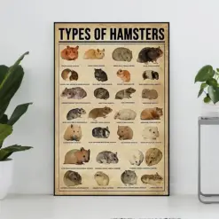 Types Of Hamsters Vintage Poster Hamster Lover Gift Hamster Art Print Knowledge Poster Knowledge Art Home Decor Education Wall Decor