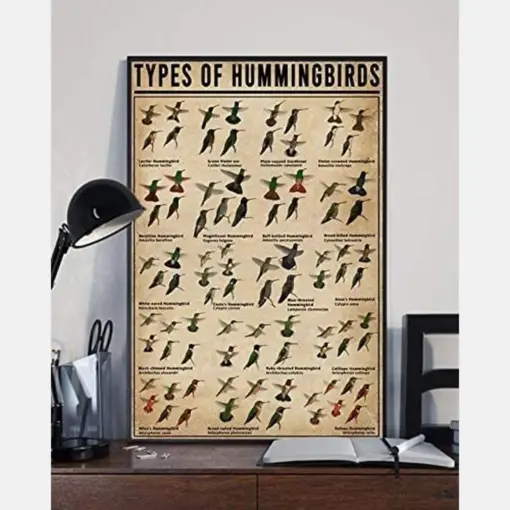 Types Of Hummingbirds Knowledge
