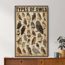 Types Of Owls Vintage Poster Owl Lover Gift All About Owl Vintage Knowledge Poster Knowledge Art Home Wall Art Education Wall Decor