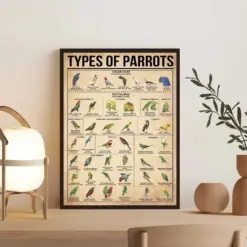 Types Of Parrots Poster Parrots Knowledge Print Parrot Lover Gift Vintage Knowledge Poster Education Wall Decor Knowledge Art Home Art