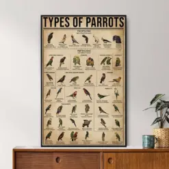 Types Of Parrots Vintage Poster Parrot Lover Gift Parrot Poster Vintage Knowledge Poster Knowledge Art Home Art Education Wall Decor