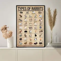 Types Of Rabbits Knowledge Poster Vintage Poster Decor Wall Knowledge Lovers