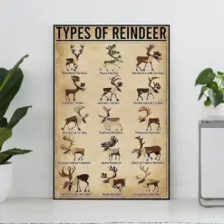 Types Of Reindeer Vintage Poster Reindeer Lover Gift Reindeer Art Print Knowledge Poster Knowledge Art Home Wall Decor Education Decor