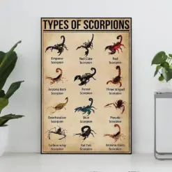 Types Of Scorpions Vintage Poster Scorpion Lover Gift Scorpion Art Print Knowledge Poster Knowledge Art Home Decoy Education Wall Deco