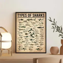 Types Of Sharks Art Print Sharks Vintage Poster Shark Lover Gift Shark Knowledge Poster Ocean Poster Education Wall Poster