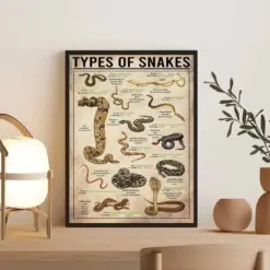 Types Of Snakes Poster Snake Vintage Print Snake Art Print Knowledge Poster Knowledge Art Home Wall Decor Education Wall Decor