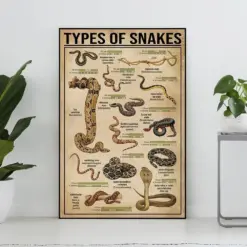 Types Of Snakes Vintage Poster Snake Lover Gift Snake Art Print Knowledge Poster Knowledge Art Home Wall Decor Education Wall Decor