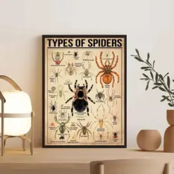 Types Of Spiders Poster Spider Lover Gift Spider Vintage Poster Knowledge Poster Knowledge Art Home Wall Decor Education Wall Decor